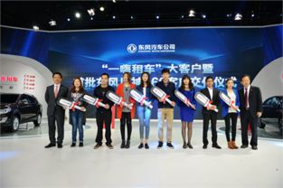 洛陽龍飛汽車租賃 便捷出行，專業服務